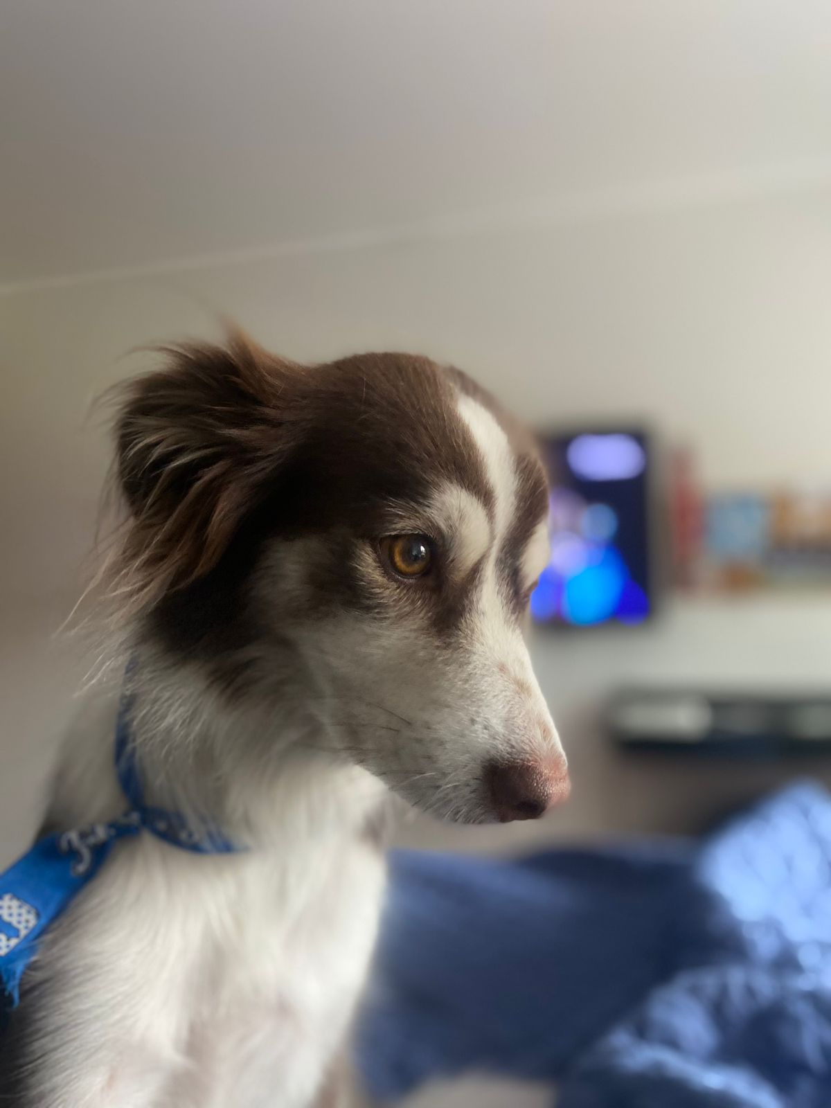 Professional work environment